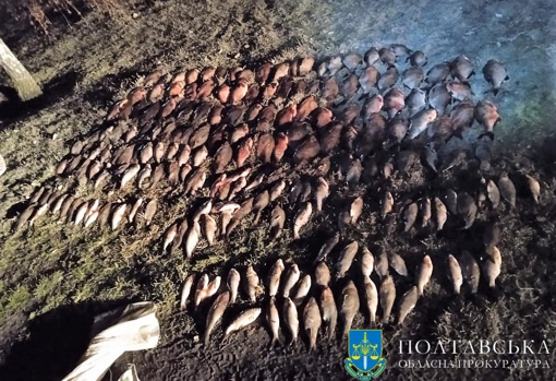 На Полтавщині засудили двох рибалок, які незаконно наловили риби на понад мільйон гривень