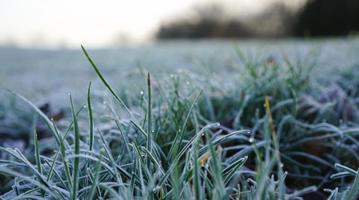 На Полтавщині на вихідних прогнозують заморозки та дощі