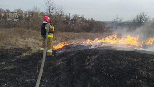 На Полтавщині посилять патрулювання лісових масивів та торфовищ