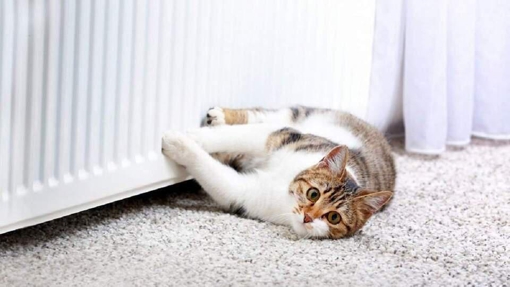 У Полтаві розпочався опалювальний сезон