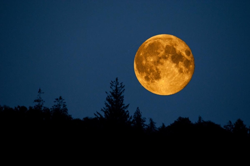 Сьогодні українці спостерігали Бобровий Супермісяць