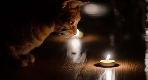 Графік відключення світла на Полтавщині 6 листопада