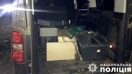 У Полтавській області викрили трьох чоловіків, які незаконно вполювали дику свиню