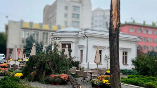 У Полтаві через падіння дерев поранилися двоє осіб: відкрили кримінальне провадження