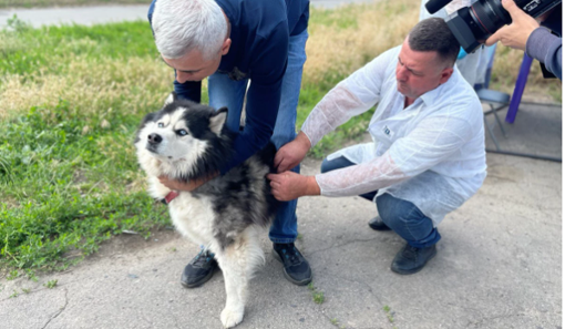 Оприлюднили графік вакцинації тварин від сказу в Полтаві