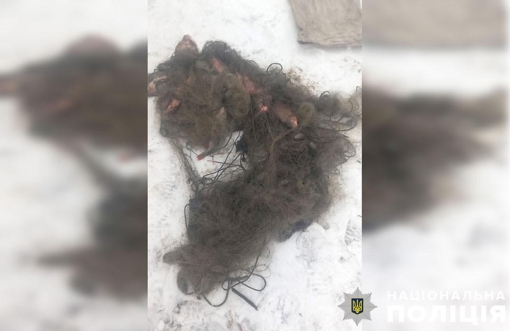У Полтавській області 22-річний чоловік незаконно наловив риби на понад 70 тис. грн
