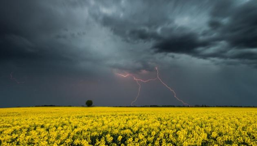 Протягом дня на Полтавщині синоптики прогнозують дощі та грози