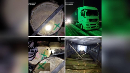 У Полтавській області лісники наживалися на махінаціях з деревиною: їм загрожує до 12 років в’язниці