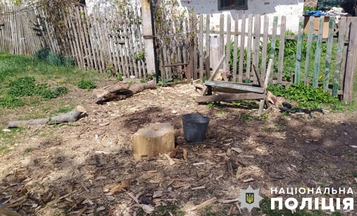 На Полтавщині чотирирічний хлопчик випадково травмував молодшого брата сокирою