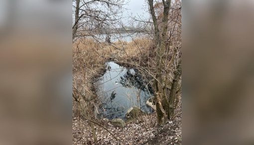 Фахівці обстежили берег Ворскли, де виявили злив води невідомого походження