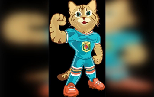 Обрали спортивний символ Полтавської області