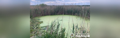 На Полтавщині шестирічний хлопчик втопився у штучній водоймі