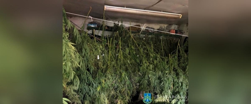 Полтавця засудили до ув'язнення за виготовлення та продаж наркотиків