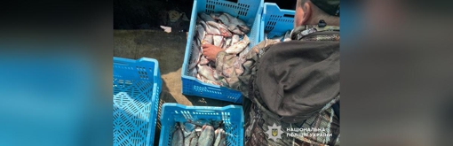 На Полтавщині чоловіки незаконно виловлювали рибу на промисловому човні та завдали збитків державі на понад 3 млн грн