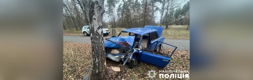 На Полтавщині п'яний водій легковика врізався в дерево