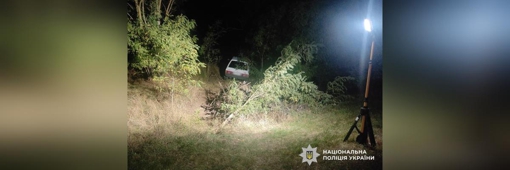 На Полтавщині п’яний водій легковика на швидкості вилетів у кювет