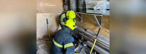 У Кременчуці  врятували двох цуценят