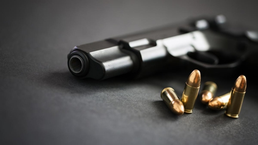 Головні принципи поводження зі зброєю для цивільного населення: що потрібно знати