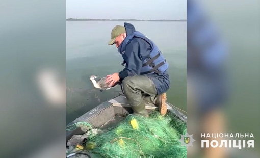 На Полтавщині врятували птаха, який заплутався в браконьєрських сітках. ВІДЕО