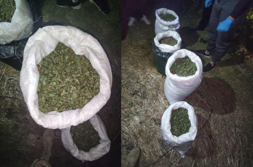 На Полтавщині у двох чоловіків знайшли чотири мішки з коноплями