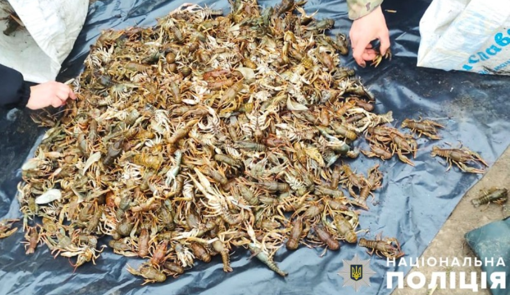 У Полтавській області у чоловіка знайшли близько пів сотні кілограмів раків
