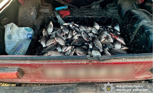 У Полтавській області затримали чоловіка, який незаконно наловив риби на понад 200 тис. грн