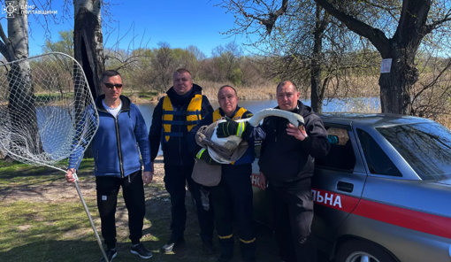 У Горішніх Плавнях врятували травмовану лебідку