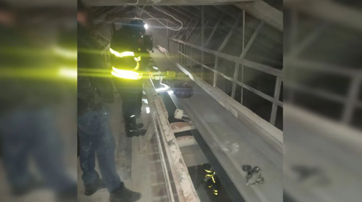 На Полтавщині працівників на смерть засипало зерном: судитимуть колишнього майстра