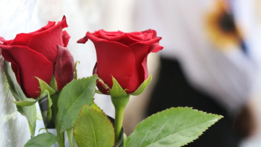 У Полтаві встановлять ще чотири меморіальні дошки загиблим воїнам