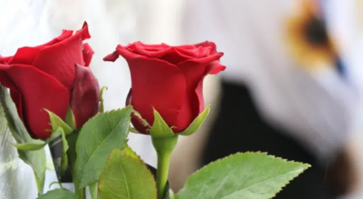 У Полтаві планують встановити ще 14 меморіальних дошок