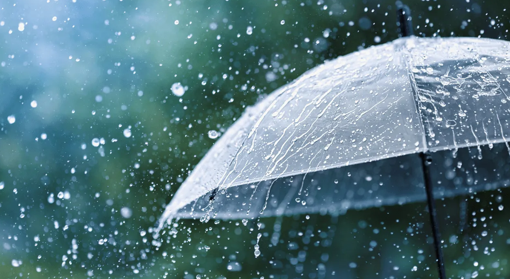 На вихідні на Полтавщині буде дощ та сильний вітер